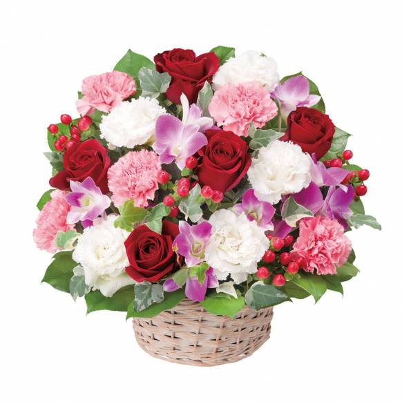 8000円 円まで の花 愛知県名古屋市天白区の花屋 八事 ミスフラワーにフラワーギフトはお任せください 当店は 安心と信頼の花キューピット加盟店です 花キューピットタウン